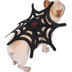 Spooky Felt Halloween Pet Costume